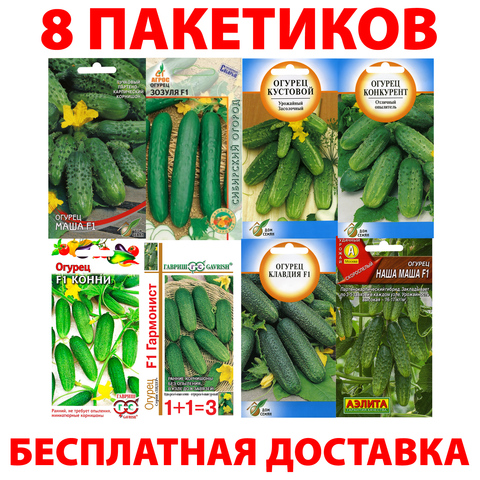 Cucumber seeds Vegetable Set No. 29 ► Photo 1/1