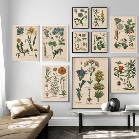 Vintage Botanical Herbs Posters and Prints Home Wall Decor , Antique Plant Botany Wall Art Canvas Painting Pictures for Kitchen ► Photo 1/6