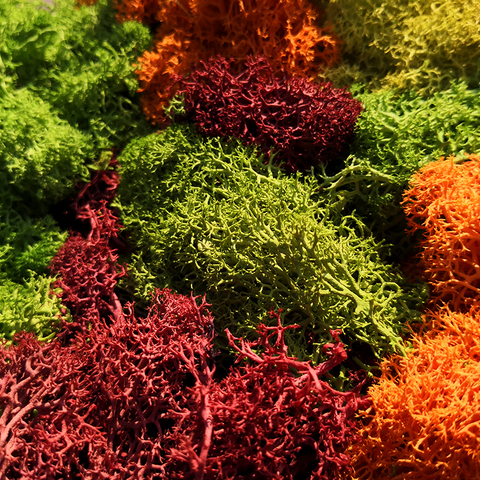 30G Lichen Moss cluster for bushes,model trees foliage scale model building material miniature tree model DIY layout dioramas ► Photo 1/6