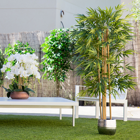 Artificial plant, tree with natural logs, for home decoration, bamboo, Ficus, Wisteria, olive, eucalyptus, Almond ► Photo 1/6
