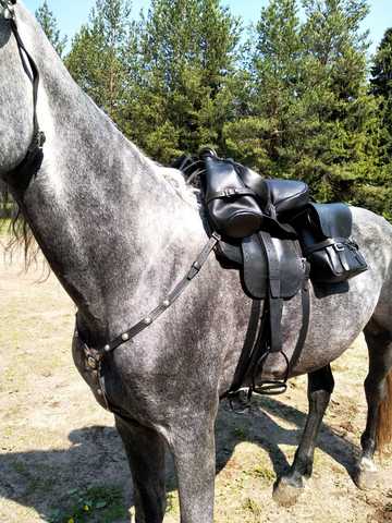 Cossack officer's saddle with a set of sbrui and brides ► Photo 1/6