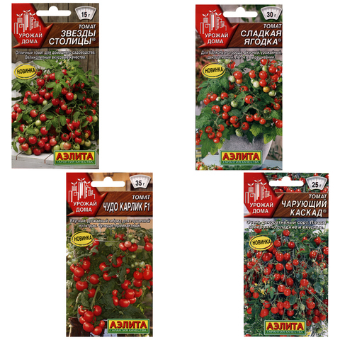 Vegetable seeds Balcony tomatoes planting Set No. 54 ► Photo 1/1