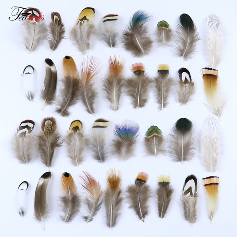 50Pcs Natural Multiple Pheasant Chicken Feathers Plume Decoration Accessories For Needlework Handicrafts Feather Home Deco Craft ► Photo 1/6