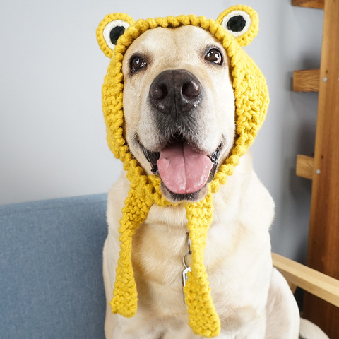 Sombrero de rana perro gato gracioso Bonito traje para perros cálido tejer lana sombreros de mascota verde amarillo gorro de perro regalo de cumpleaños para perros de compañía ► Foto 1/5
