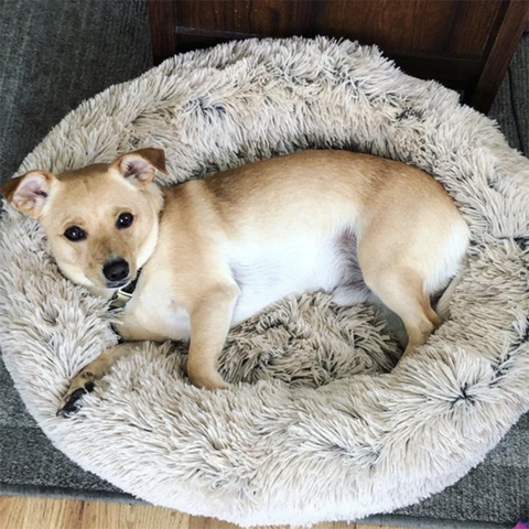 Cama extraíble de Donut para perro de peluche, perrera redonda, tumbona cálida para invierno, suave para perros medianos y grandes lavable ► Foto 1/6