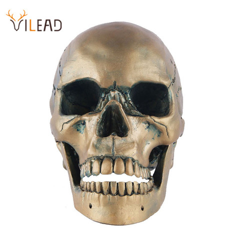 VILEAD-Cabeza de Calavera Dorada artesanal, decoraciones de acuario para el hogar, ornamento de escritorio personalizado, decoración de chimenea, artesanías para Loft ► Foto 1/6