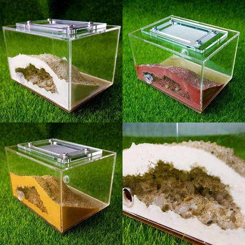 Mini nido de yeso ecológico de imitación, caja de terrario para reptiles para casa, taller y granja de hormigas ► Foto 1/6