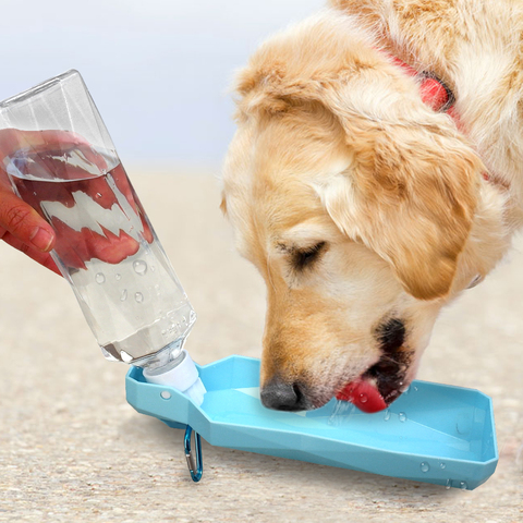 Botella de agua de viaje para perros y mascotas, dispensador plegable de plástico para gatos y gatos, alimentador de agua potable portátil para exteriores, tazón de cachorro para mascotas, 500ML ► Foto 1/6