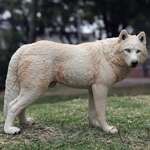 Estatua de PVC de modelo de lobo de imitación para niños, juguete educativo de 20cm, decoración para el hogar, colección de figuras de acción, modelo de Anime realista ► Foto 1/6