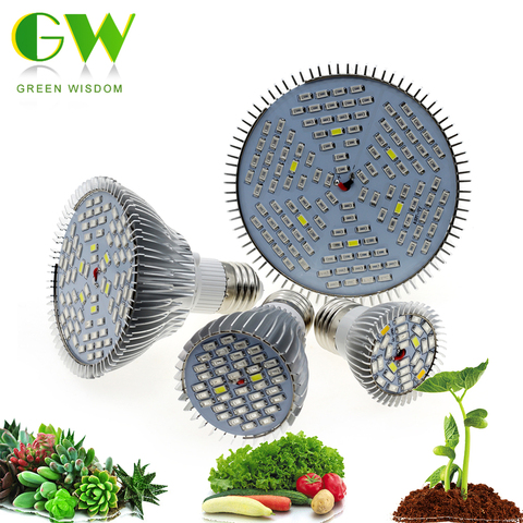 Bombilla LED de espectro completo para crecimiento de plantas, 6W, 10W, 30W, 50W, 80W, Phytolamp E27, bombillas de luz ultravioleta para plantas, flores, semilleros, tienda de cultivo ► Foto 1/6