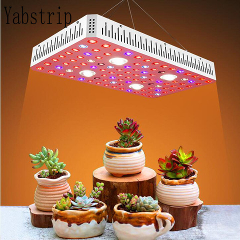 Lámpara de Cultivo LED de espectro completo, interruptor doble de 1200W y 300W para plántulas de flores de interior, tienda de campaña vegana, luz para cultivo de plantas, Fitolampy ► Foto 1/6