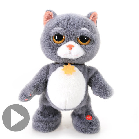 Juguete eléctrico de gato Tabby para niños, muñeco de gato de felpa para bailar y cantar, regalo de cumpleaños para niño y niña ► Foto 1/6