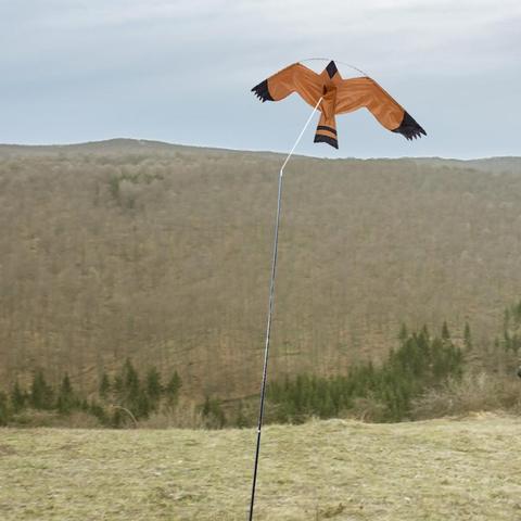 Cometa de águila repelente de aves, unidad voladora de emulación, cometa ligera fácil de montar para jardín, granja, protege las plantas ► Foto 1/6