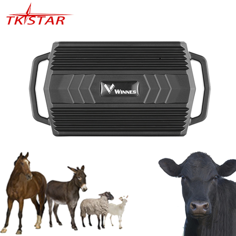 Localizador GPS con imán para coche, rastreador Animal para vaca Camel TK935, 3000mAh, impermeable, Monitor de voz, aplicación Web gratuita, PK TK905 ► Foto 1/6