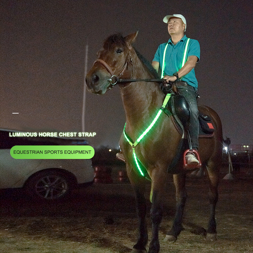 Suministro Cabálgala LED caballos pierna Strap reflectante cinturón para brazo muñeca 