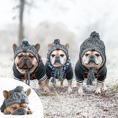 SUPERPET-Gorras para perro calientes de invierno, sombrero francés tejido a prueba de viento, Bulldog para perros, Chihuahua, sombrero de bola esponjosa, accesorios para cachorros, sombrero para mascotas ► Foto 1/6