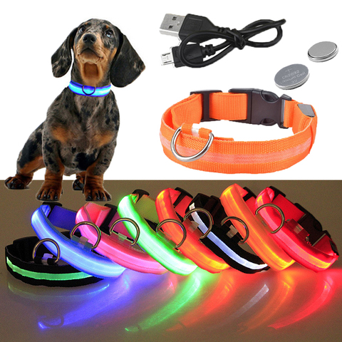 USB recargable de perro mascota LED brillante Collar de destello luminoso Collar caminar al aire libre de la noche de seguridad suministros ► Foto 1/6