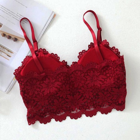 Bralette de encaje Sexy para mujer, Tops de tubo, sujetador de banda de encaje, Tops cortos, ropa interior de banda para chica, gran oferta ► Foto 1/6