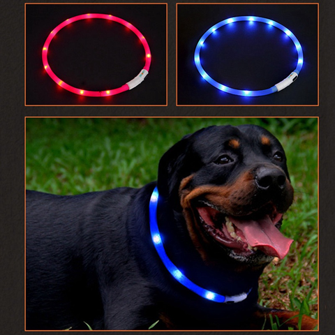 Collar de perro Led recargable por USB, antipérdida/accidente de coche, evita Collar para perros, cachorros, Collar de perro para gatos, suministros luminosos para mascotas ► Foto 1/6