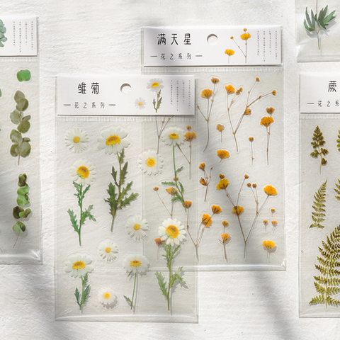 Journamm-pegatinas de palabras japonesas con trébol de margaritas naturales, 12 diseños, Material transparente para mascotas, flores, hojas, plantas ► Foto 1/6