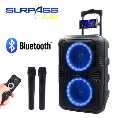 Batería recargable altavoz al aire libre Dual inalámbrico micrófono de mano al aire libre Karaoke estéreo alimentado altavoz con Bluetooth de carrito ► Foto 1/6