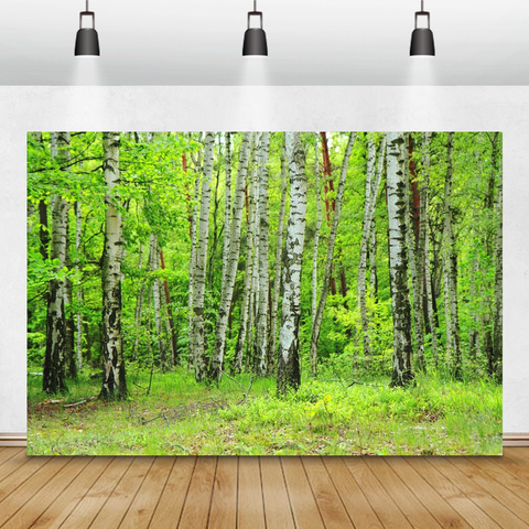 Fondos de fotografía Grunge antiguo bosque con árboles arte naturaleza escénico Interior hogar Decro fondos fotográficos para estudio fotográfico ► Foto 1/6