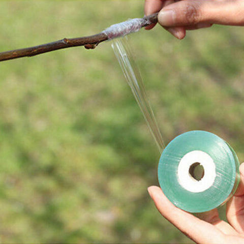 Rollo de cinta para reparación de plantas de siembra, árbol de jardín, vivero, película de barrera de injerto, recorte de brotes de fruta, hidratante vertical, 100m ► Foto 1/6