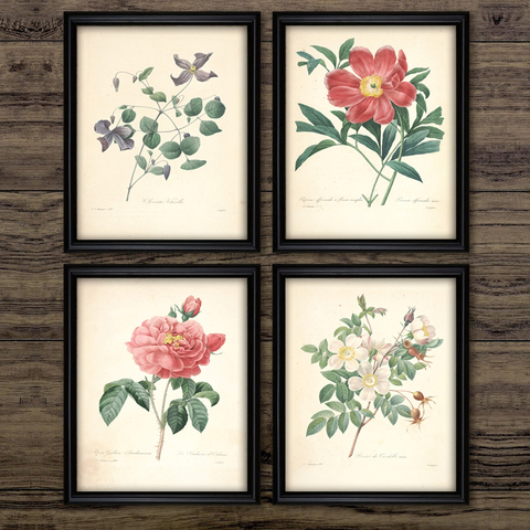 Cuadro Vintage de flores para pared, póster de lona, hierba, romero, salvia, tomillo, cuadros Retro de plantas frutales, decoración para el hogar y la Oficina ► Foto 1/6