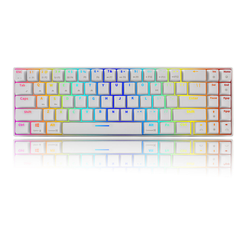 Teclado mecánico inalámbrico RK71 RGB retroiluminado con LED para videojuegos, 71 teclas, Bluetooth, interruptor azul, Mini portátil para PC, Mac, TKL ► Foto 1/1