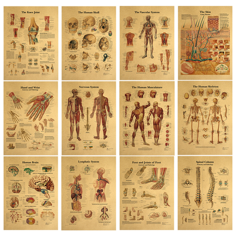 AIMEER Vintage retro Cuerpo Humano ilustración cartel de papel kraft Museo Escuela nostálgico decorativo cuadro adhesivo para pared 30*42cm ► Foto 1/6