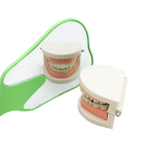 Forma de diente Dental en 6 colores, modelo de espejo con forma de diente de cristal, regalo Dental, regalo de dentista ► Foto 1/6