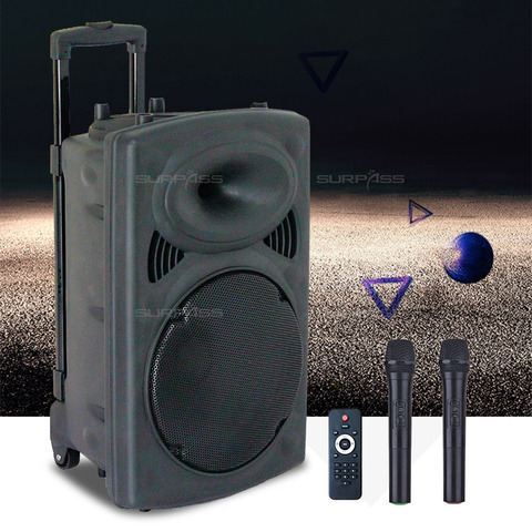 Amplificador portátil altavoz con Bluetooth de carrito de gran potencia, sonido HIFI, batería recargable de Karaoke con dos inalámbrico micrófono ► Foto 1/6
