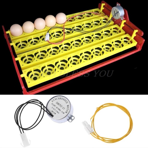 Accesorios de incubadora de bandejas para huevos, Motor giratorio para incubadora, 220V ► Foto 1/6