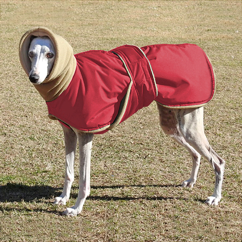 Chaqueta impermeable para perro muy cálidas y gruesas, para perros medianos y grandes, Galgo, Wolfhound y pastor ► Foto 1/6