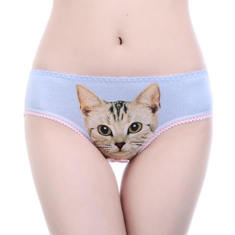 Bragas sexys con estampado de gato en 3D para mujer, ropa interior de algodón, pantalones, lencería Sexy, bragas íntimas, pantalones cortos, 2022 ► Foto 1/6