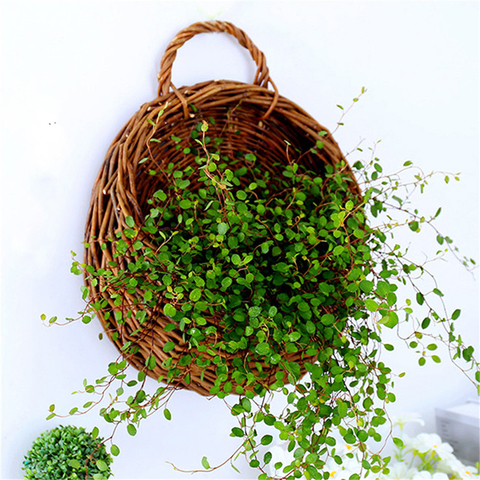 Plantador de pared de flores, canasta colgante de mimbre, maceta de vid de jardín, soporte para plantas de interior, 4 colores, 1 ud. ► Foto 1/6