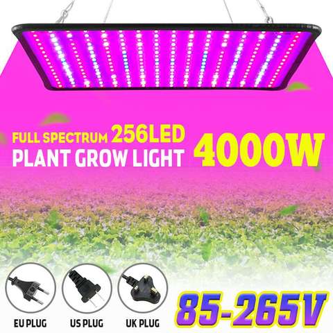 Panel de luz LED para cultivo de plantas, lámpara de espectro completo Phyto, enchufe AC85-265V UE/EE. UU. Para tienda de interior, luz para crecimiento de plantas, 4000W, 256 ► Foto 1/6