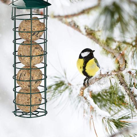 Colgador de comida de pájaro para mascotas, contenedor alimentador, herramienta de alimentación al aire libre para jardín ► Foto 1/6