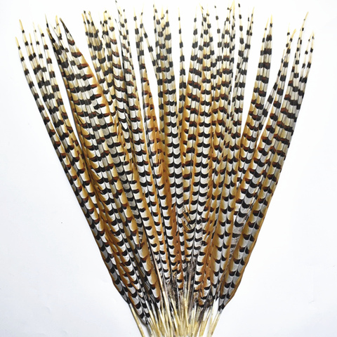 Pluma de cola de faisán de Natural raro para manualidades, pluma de cola de 4-72 pulgadas para decoración de disfraces de Carnaval ► Foto 1/6