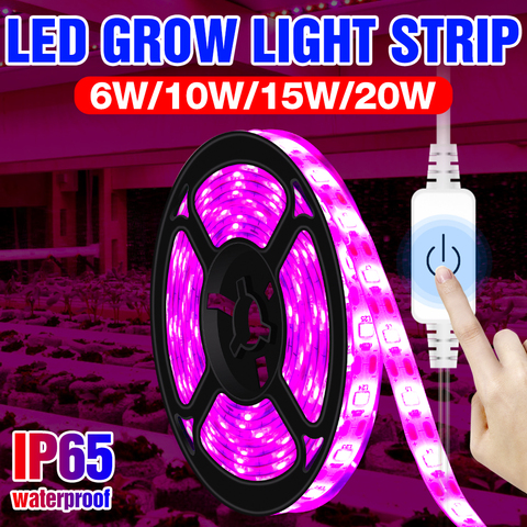 Tira de luces LED para crecimiento de semillas, 0,5 M, 1M, 2M, 3M, lámpara LED de Fito de espectro completo, lámpara para cultivo de semillas de flores ► Foto 1/6