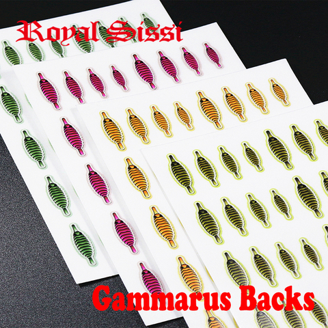 RoyalSissi-Juego de atado de moscas para gammarus, 4 tamaños, trasero de Camarón, realista, ninfa, Mosca, piel fina, atado de moscas, materiales, 160 Uds. ► Foto 1/6