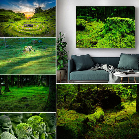 Pintura en lienzo de musgo fresco para pared, pósteres e impresiones artísticos para decoración para sala de estar, decoración del hogar, árbol verde, plantas, bosque verde moderno ► Foto 1/6