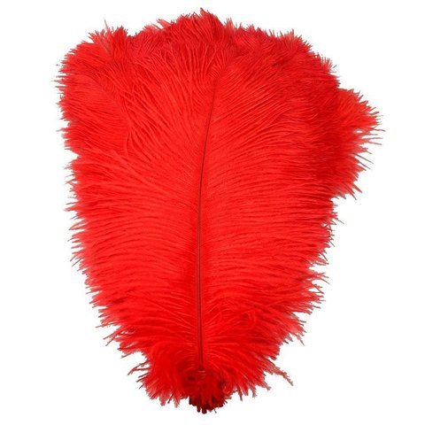 Al por mayor 10 unids/lote Natural teñido plumas rojas de avestruz para artesanías carnaval fiesta decoraciones de la boda dura plumas ► Foto 1/6