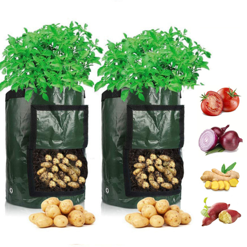 Bolsa de cultivo de patatas, bolsa de PE vegetal para cultivo de cebolla y plantas, con mango, gruesa, para jardín, zanahoria, Taro, cacahuete ► Foto 1/6