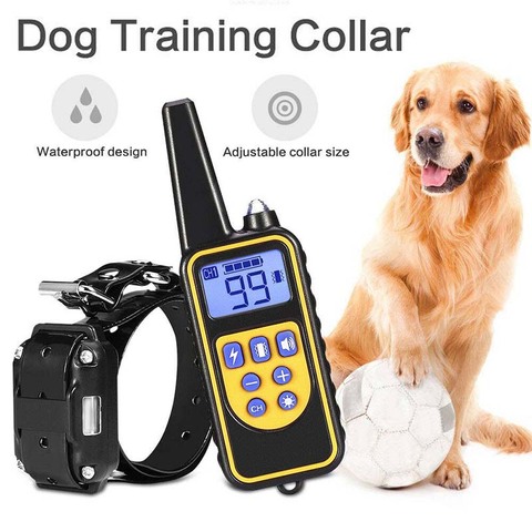 Collar de entrenamiento eléctrico para perro, Control remoto para mascotas, impermeable, recargable, para todos los tamaños, Dispositivo contra ladridos, adiestramiento, 800m ► Foto 1/6