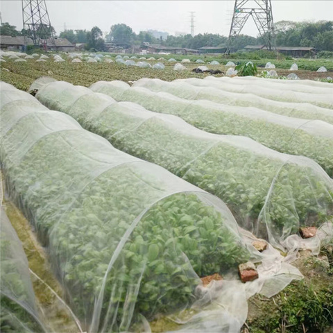 Red de protección para el cuidado de las flores y las plantas, Red de Control de Plagas y aves, malla de 6/10M de largo ► Foto 1/6