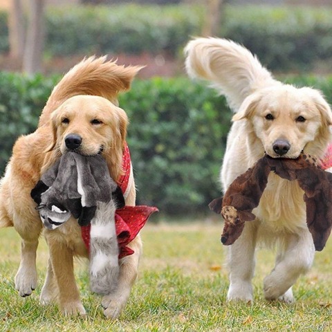 Perro juguetes para perros limpieza perro gigante juguetes grandes juguetes masticables para perros lindo lobo de juguete de peluche animales Squeaker ► Foto 1/6