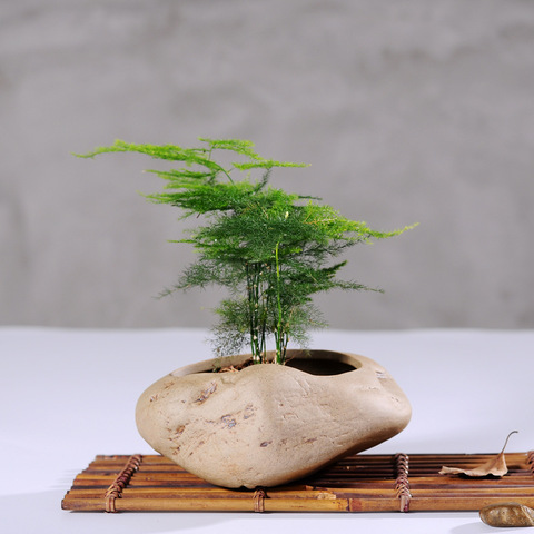 Macetas de piedra de imitación hechas a mano, combinación creativa Retro de jardinería, maceta para flor de cerámica ► Foto 1/6