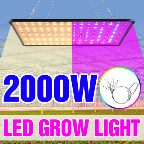 Lámpara Led de espectro completo para cultivo, foco para plantas, invernaderos de interior, tienda de cultivo, enchufe de EE. UU., UE y Reino Unido, 1000W, 1500W y 2000W ► Foto 1/6