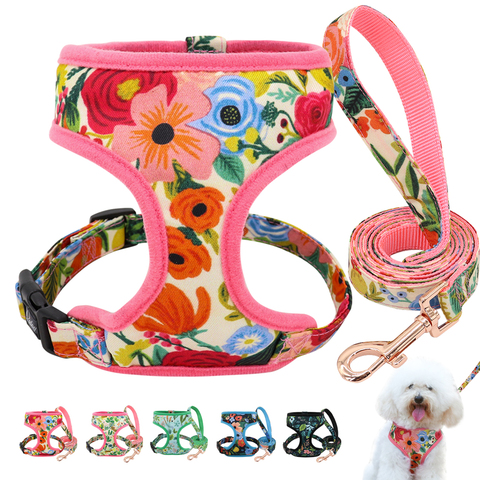 Conjunto de Correa y arnés con estampado de flores para perros arnés de perrito correas de chaleco ajustable para perros pequeños, medianos y grandes Chihuahua ► Foto 1/6